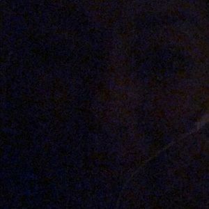 Meet your Posher, Rosie